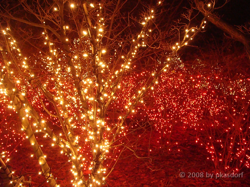 036 Toledo Zoo Light Show [2008 Dec 27].JPG - Scenes from the Toledo Zoo Light Show.